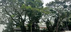 Tuas Road (D22), Warehouse #587553851